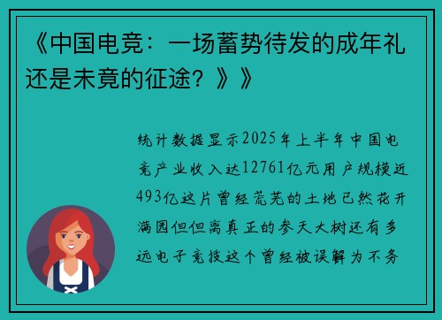 《中国电竞：一场蓄势待发的成年礼还是未竟的征途？》》
